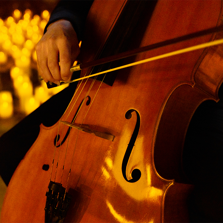 Candlelight  Hommage à Johnny Hallyday